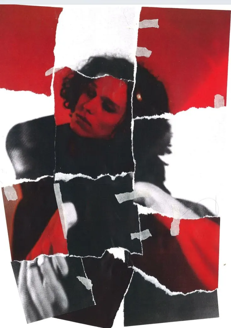 A man's portrait among red paper collage pieces — stylised shot